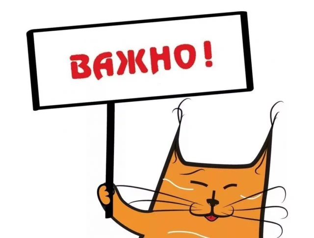  Временный порядок признания лица инвалидом без личного присутствия