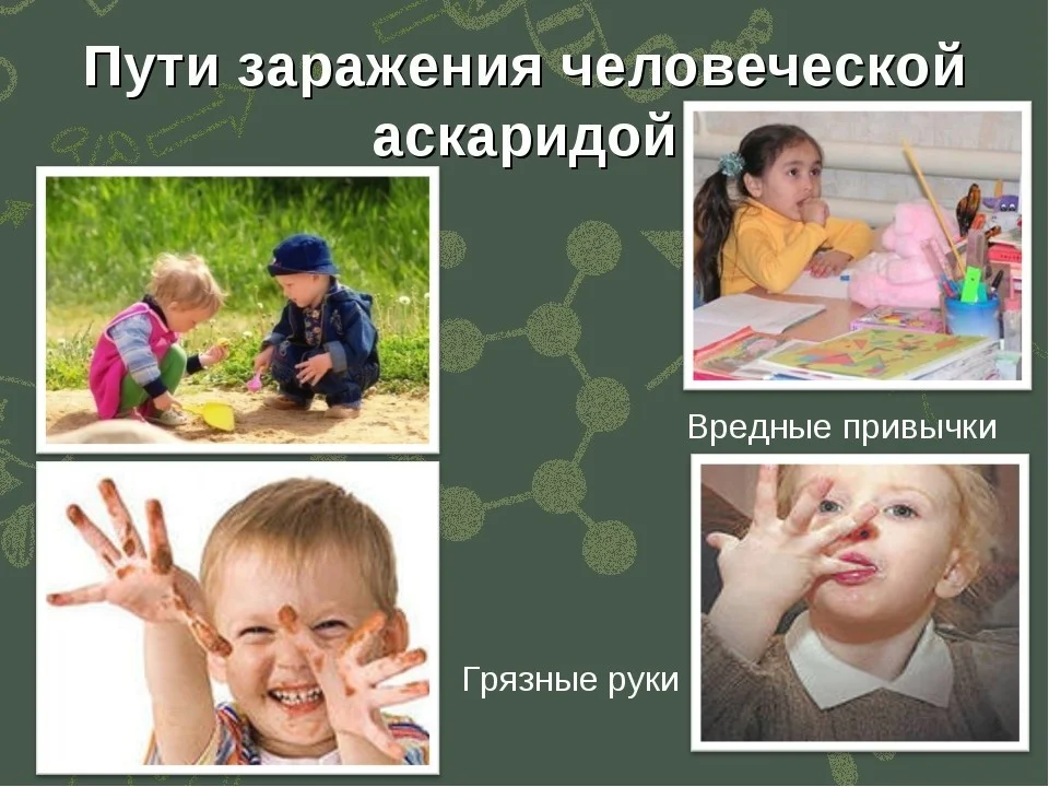 Профилактика аскаридоза