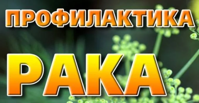 ПРОФИЛАКТИКА ОНКОЛОГИЧЕСКИХ ЗАБОЛЕВАНИЙ