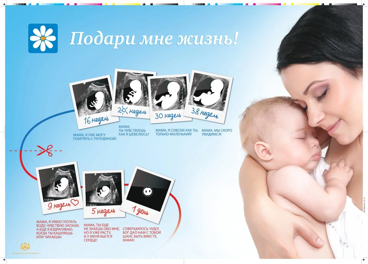 Подари мне жизнь