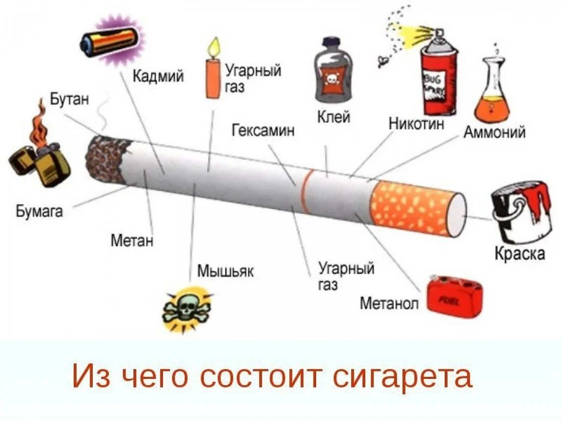 Из чего состоит сигарета