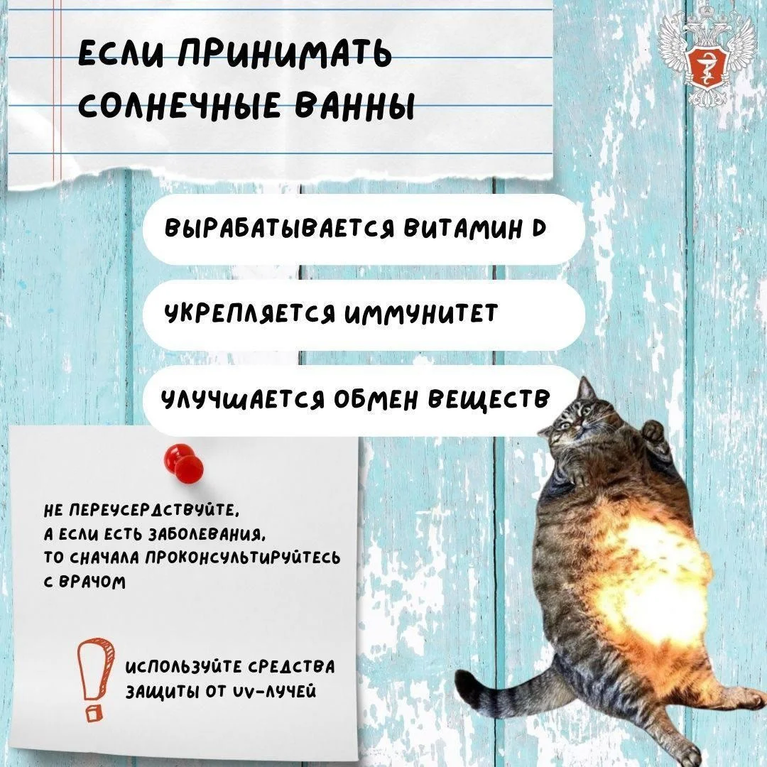 kak_ukrepit'_zdorov'e_letom_4.jpg kak_ukrepit'_zdorov'e_letom_4.jpg