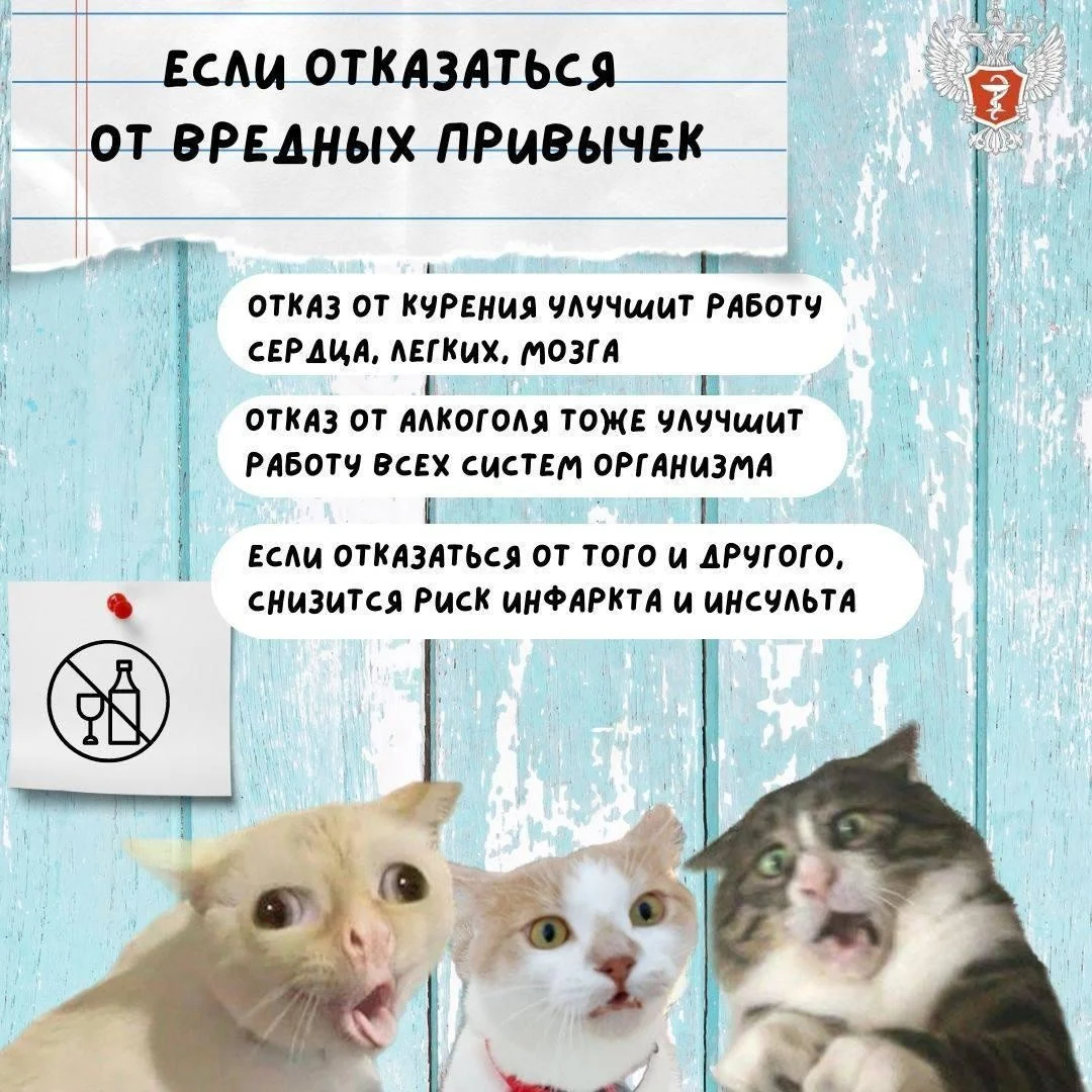 kak_ukrepit'_zdorov'e_letom_6.jpg kak_ukrepit'_zdorov'e_letom_6.jpg