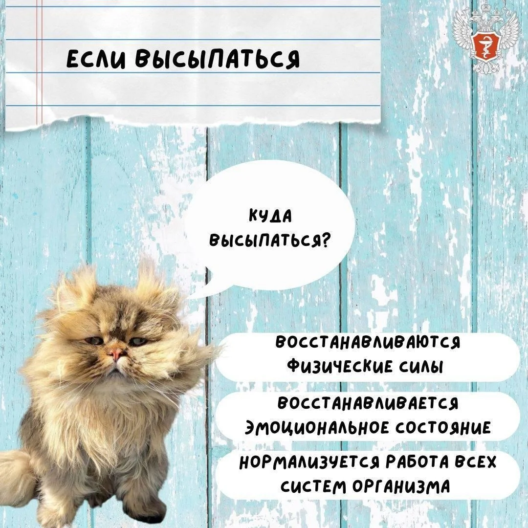 kak_ukrepit'_zdorov'e_letom_5.jpg kak_ukrepit'_zdorov'e_letom_5.jpg