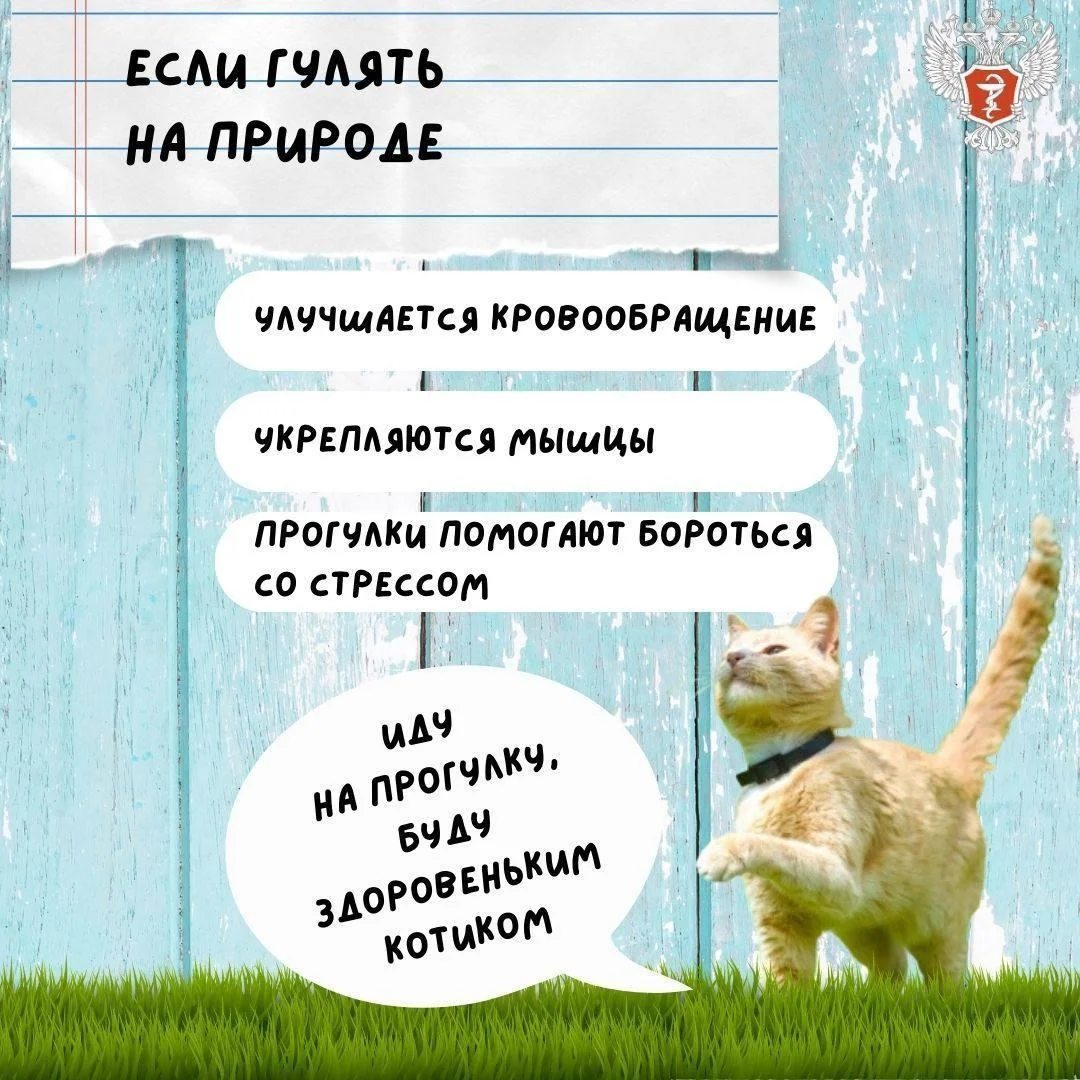 kak_ukrepit'_zdorov'e_letom_3.jpg kak_ukrepit'_zdorov'e_letom_3.jpg