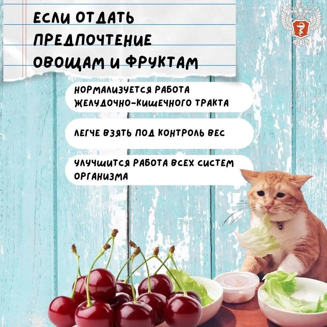 kak_ukrepit'_zdorov'e_letom_7.jpg kak_ukrepit'_zdorov'e_letom_7.jpg