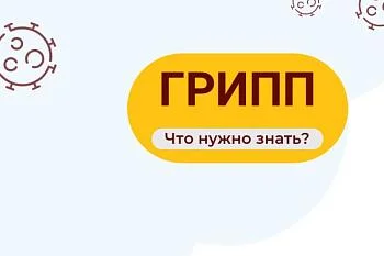 Грипп. Что нужно знать? Грипп. Что нужно знать?