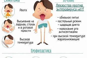 Профилактика энтеровирусной инфекции. Профилактика энтеровирусной инфекции.