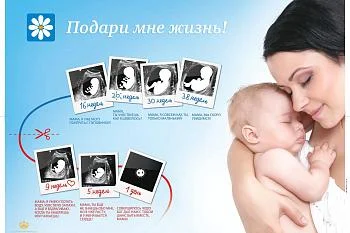Подари мне жизнь