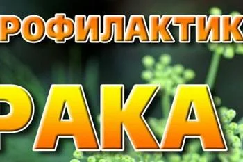 ПРОФИЛАКТИКА ОНКОЛОГИЧЕСКИХ ЗАБОЛЕВАНИЙ ПРОФИЛАКТИКА ОНКОЛОГИЧЕСКИХ ЗАБОЛЕВАНИЙ