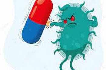 Устойчивость к антибиотикам, как она распространяется