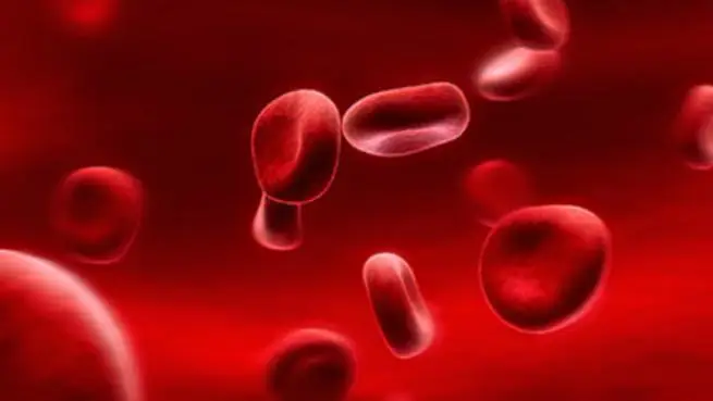 Профилактика болезней системы кровообращения